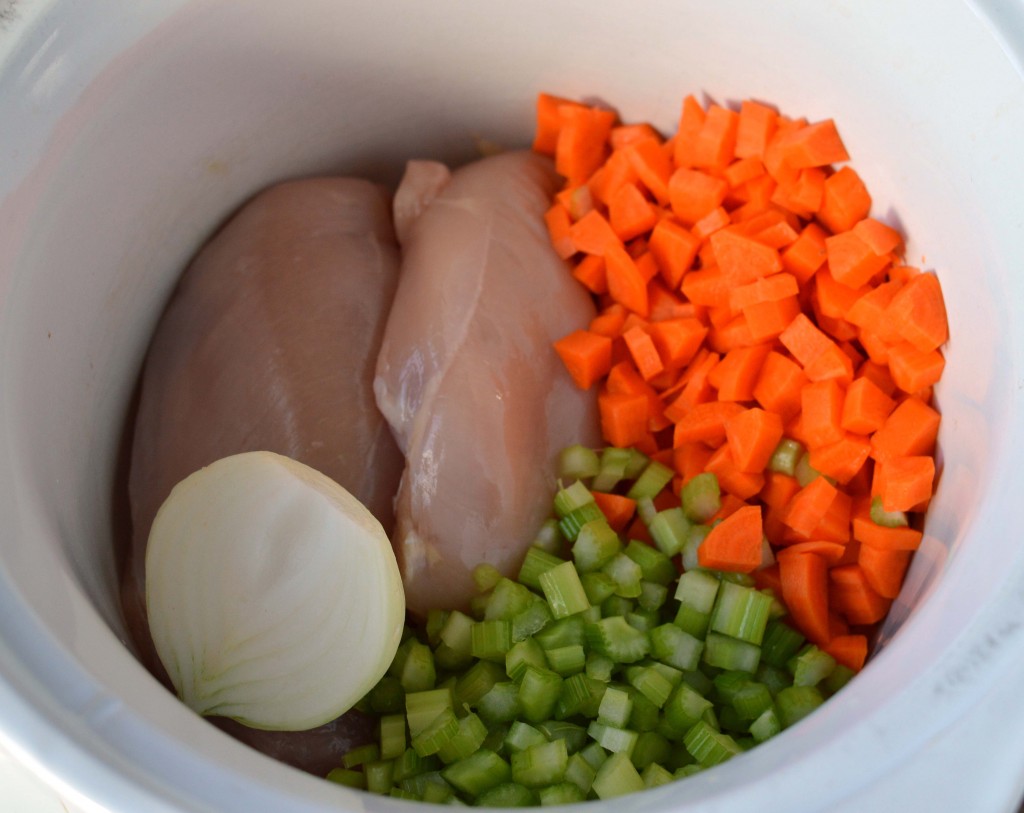 slow cooker soup