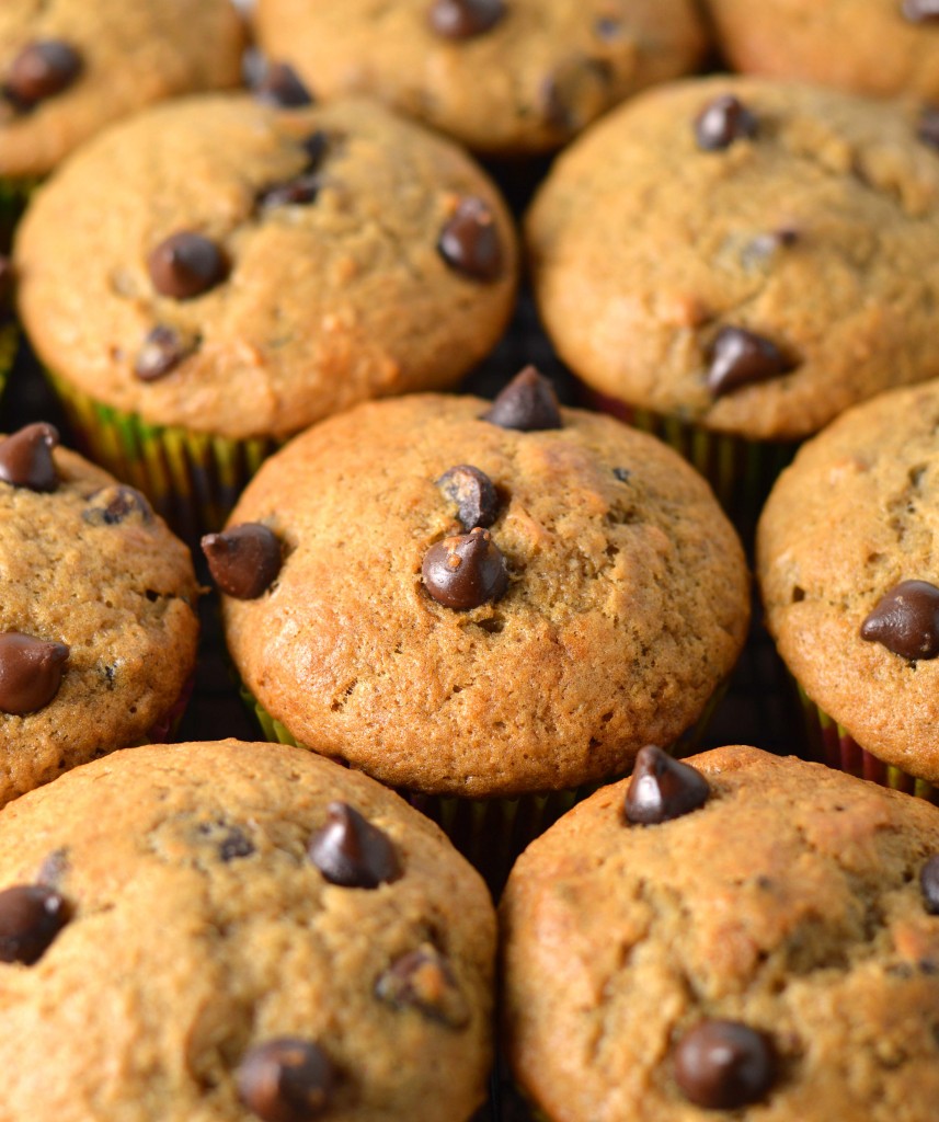 Mocha banana chocolate chip muffins